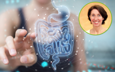 Gut Health and Immune System