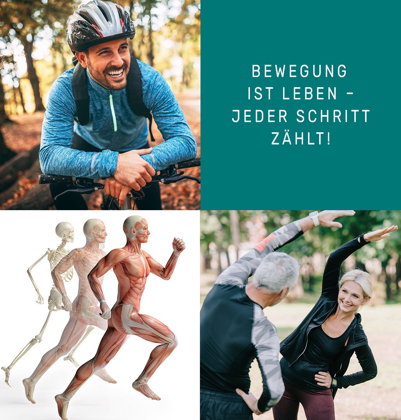 collage-movement-complexjpg