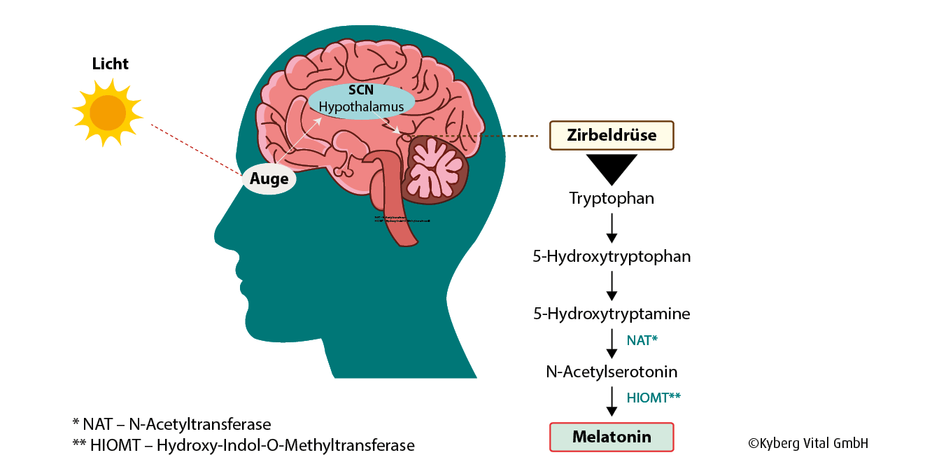 schlafsystem