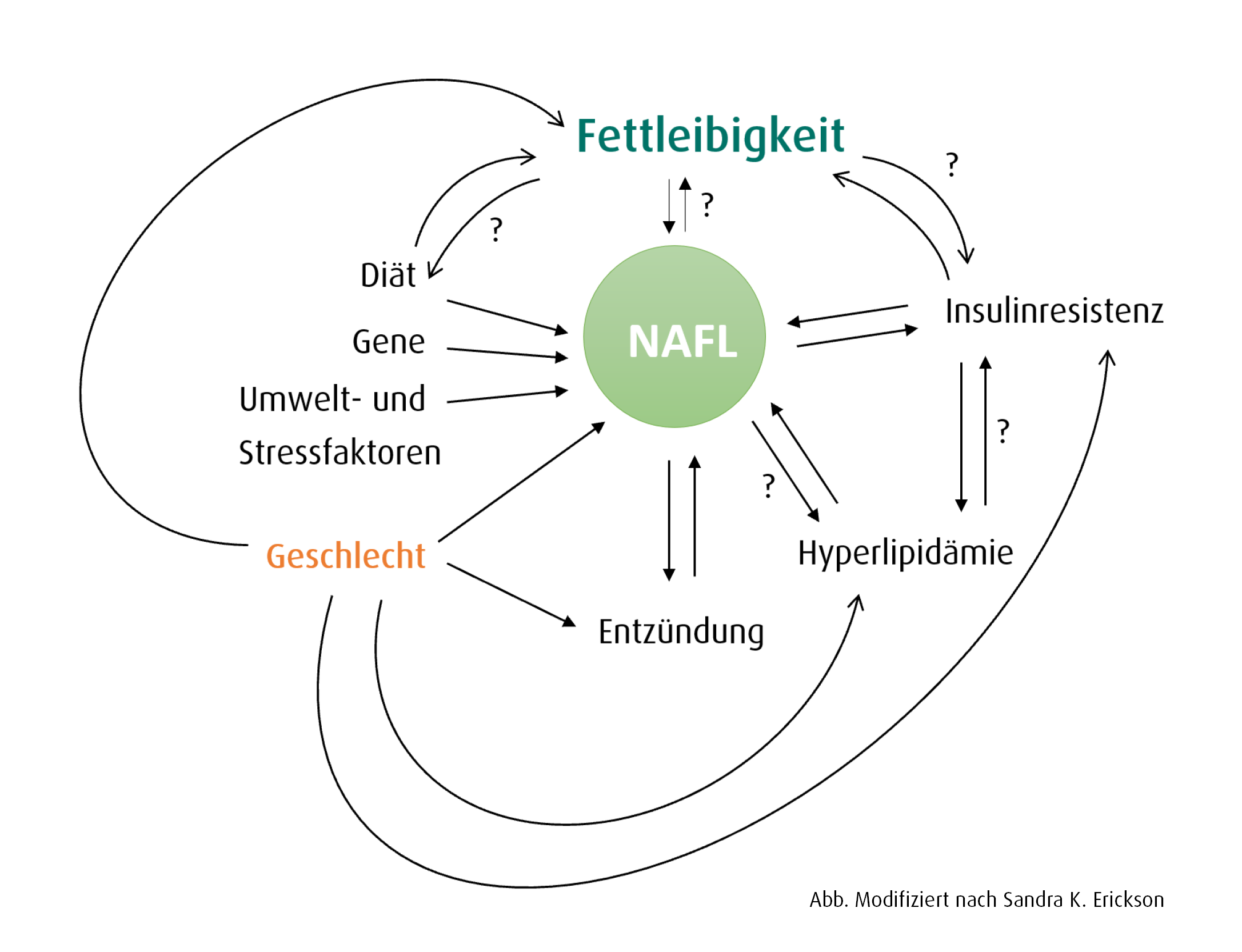 nach_s_erikson