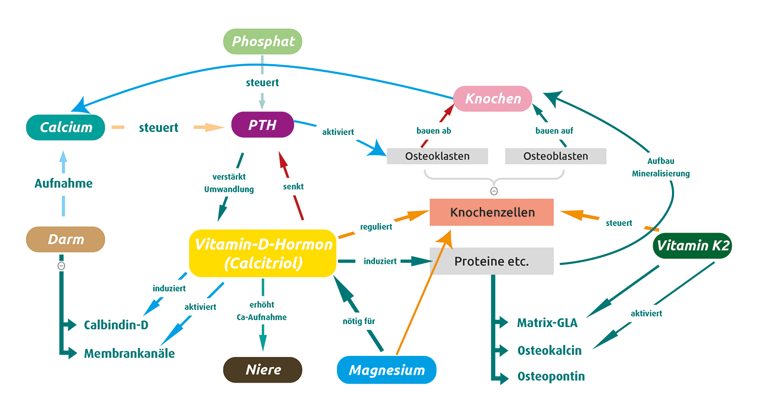 VitaminD_VitaminK2