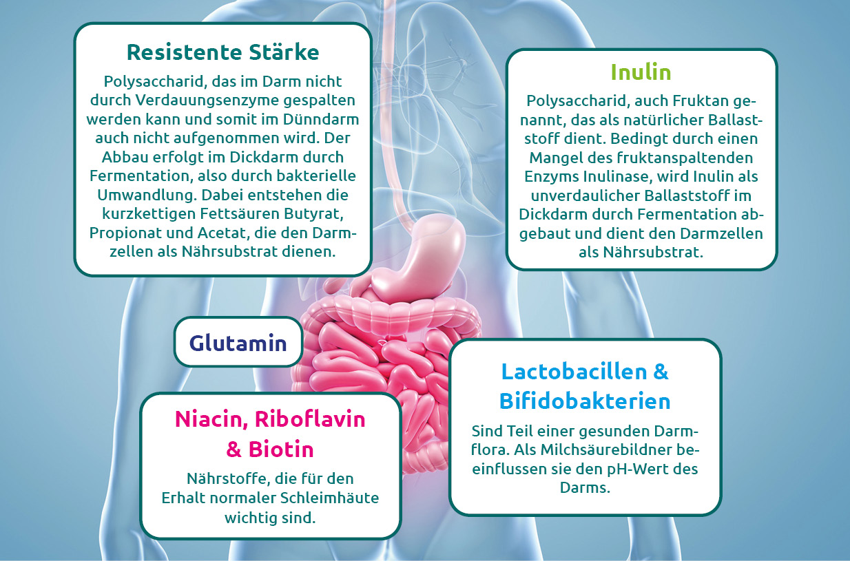 mucosa-1
